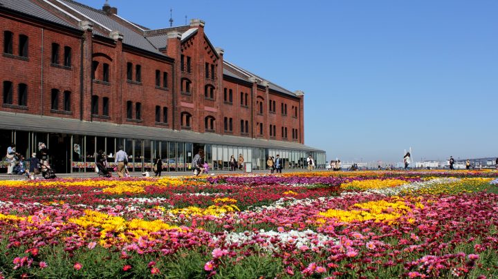 横浜赤レンガ倉庫1