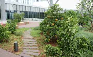 MARK IS みなとみらい5