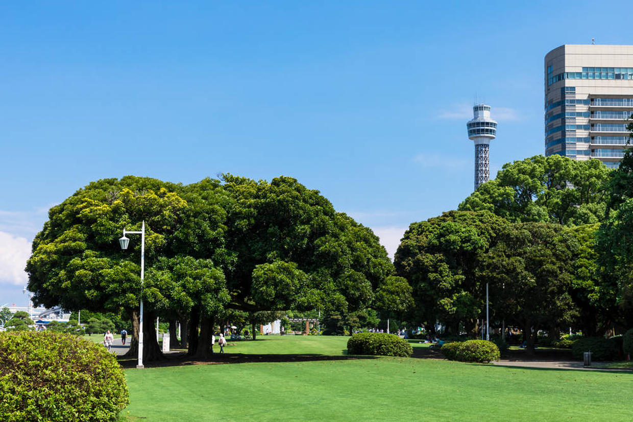 特集テスト１の画像